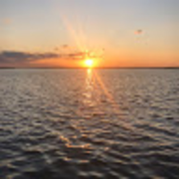 Meet your Posher, Jessica - Picture 1 of 1